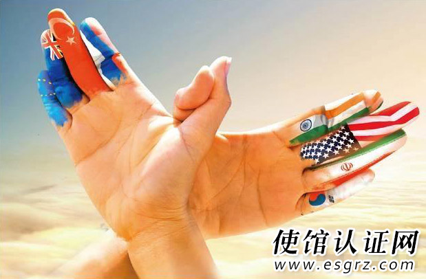 美國(guó)護(hù)照與中國(guó)護(hù)照為同一人聲明公證