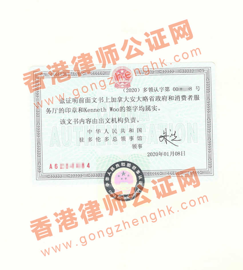 加拿大同一人聲明書三級使館認證樣本