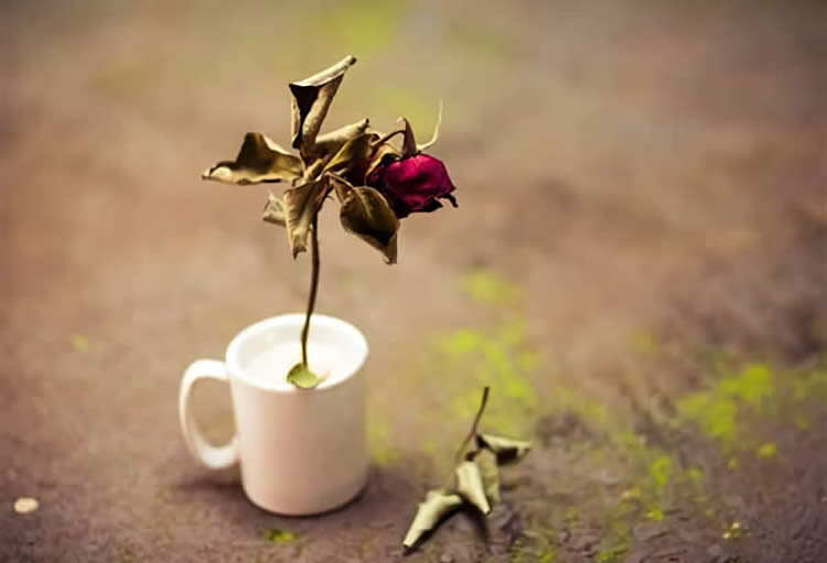 香港人在香港死亡，內(nèi)地子女怎么辦理親屬關(guān)系證明用于公證處辦理財(cái)產(chǎn)繼承手續(xù)？