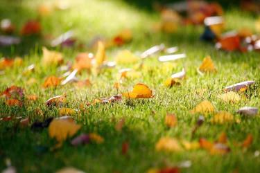 香港死亡證明真實性公證用于在北京辦理工商信息變更