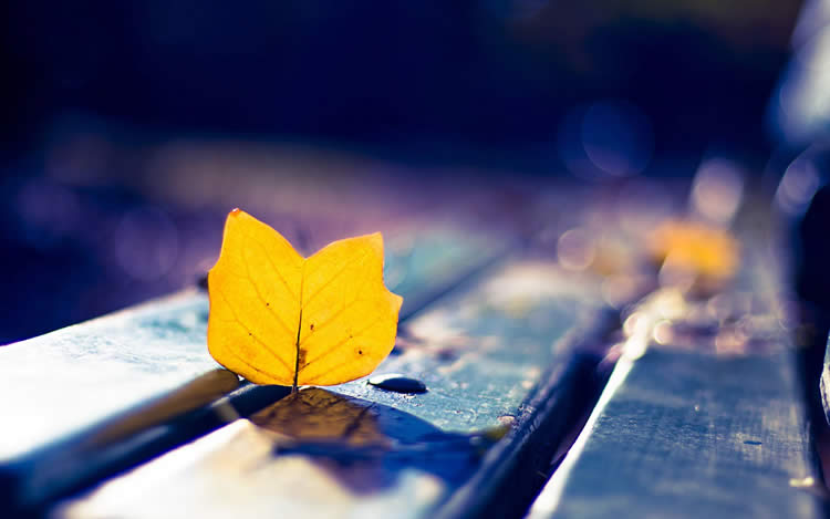 多位香港人士要如何辦理放棄繼承死者享有在內(nèi)地的遺產(chǎn)呢？