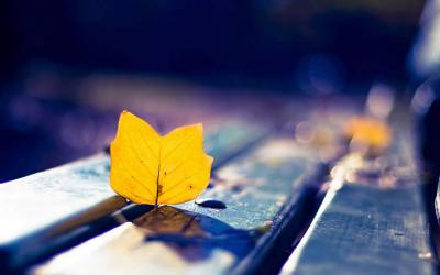 多位香港人士要如何辦理放棄繼承死者享有在內(nèi)地的遺產(chǎn)呢？