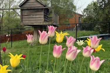要繼承香港人在內(nèi)地的遺產(chǎn)怎么辦理親屬關系及遺囑狀況聲明書轉遞公證呢？ 