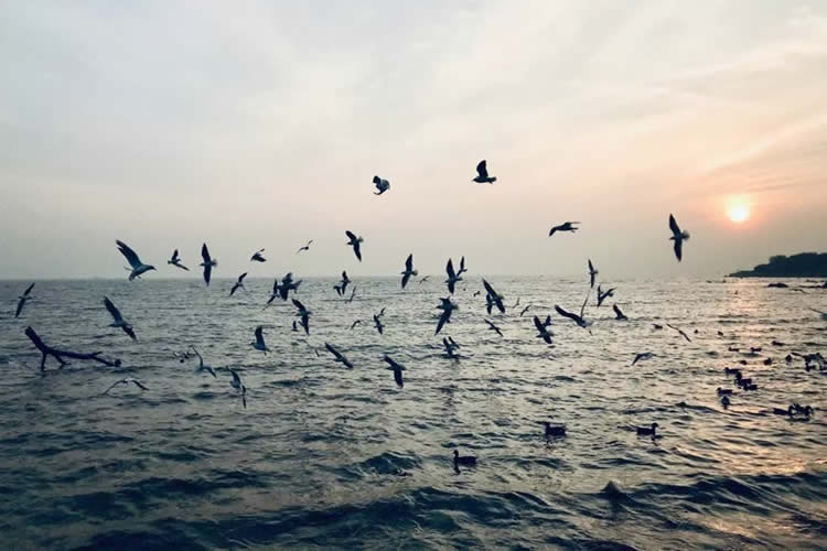 要繼承香港父母在內(nèi)地遺產(chǎn)所需要的公證親屬關(guān)系及遺囑狀況聲明書怎么辦理？