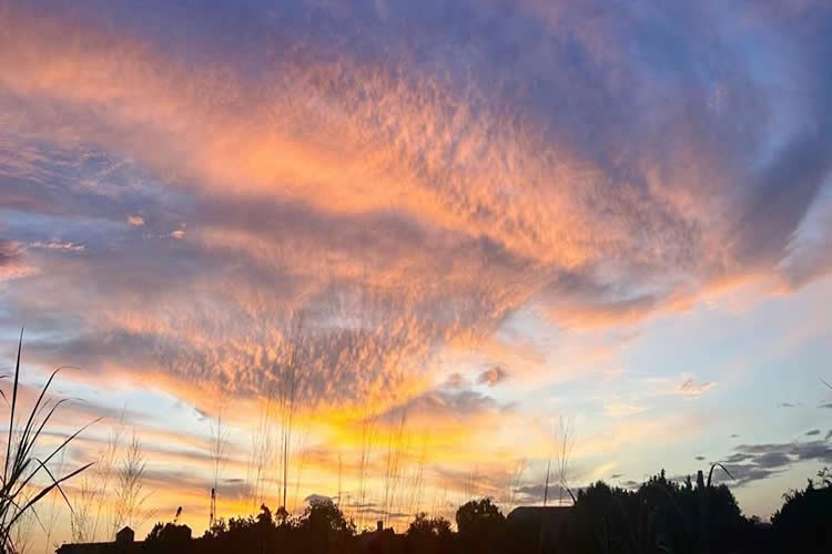發(fā)生糾紛要在內(nèi)地法院打官司怎么公證香港死亡證是真實(shí)的呢？