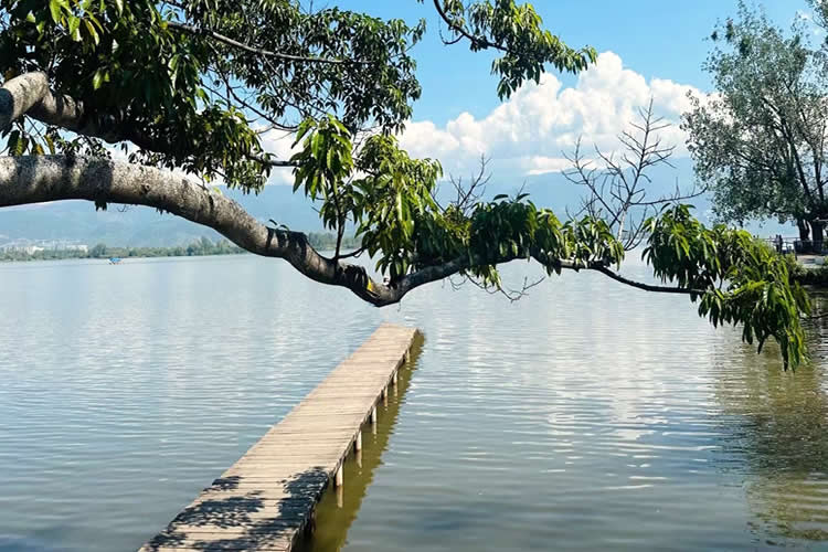 要怎么辦理香港已故人士在香港沒有婚姻及任何子女的聲明公證書用于在內(nèi)地法院訴訟呢？