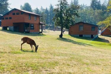 香港結(jié)婚證公證用于在內(nèi)地辦理配偶死亡公證書