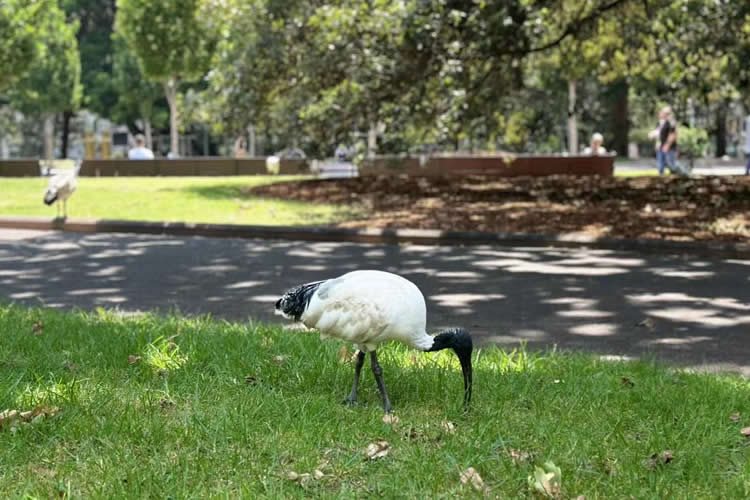 臺灣居民如何做在中國內地無犯罪公證書用于辦理申請美國工作簽證呢