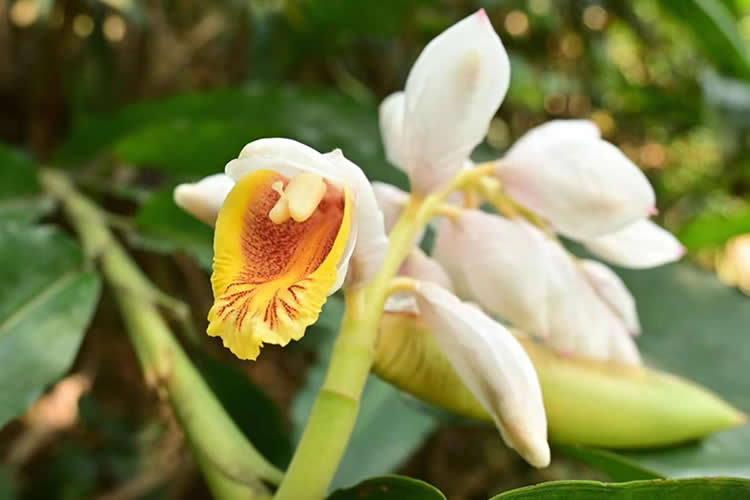 香港人要把內(nèi)地的房產(chǎn)加上配偶名字怎么做香港結(jié)婚證公證呢？