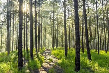 內(nèi)地人的香港離婚絕對(duì)判令要如何做公證用于跟銀行申請(qǐng)貸款呢？