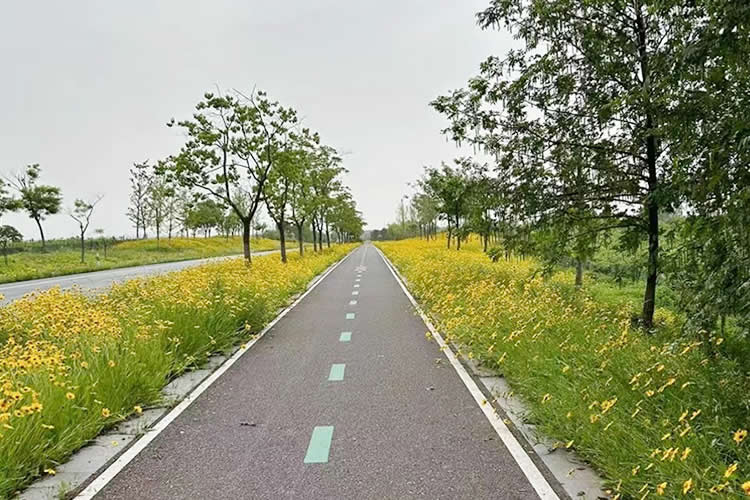 已故親人的香港行街紙?jiān)趺醋龉C用于在內(nèi)地辦理繼承遺產(chǎn)手續(xù)之用