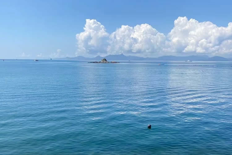 香港公司要在山東省青島市設立外商投資企業(yè)怎么辦理簡化版香港公證文書呢？