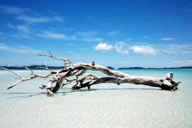 香港親屬關(guān)系及遺囑狀況聲明書公證用于在廣州辦理房產(chǎn)轉(zhuǎn)名手續(xù)