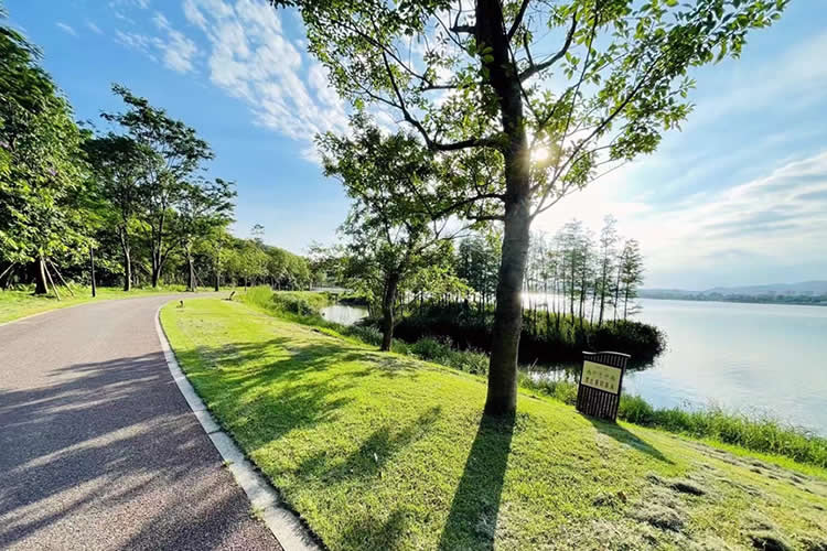 香港護(hù)照怎么辦理海牙認(rèn)證用于到馬來(lái)西亞讀書呢？