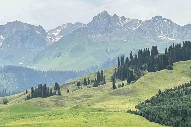 在美國(guó)的臺(tái)灣同胞如何辦理中國(guó)內(nèi)地?zé)o犯罪記錄公證書(shū)用于申請(qǐng)美國(guó)簽證？