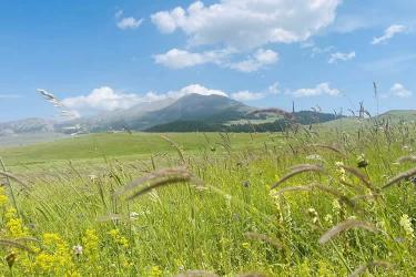 中國公民在美國離婚現(xiàn)要更改婚姻狀況怎么辦理美國離婚判決書海牙認證？