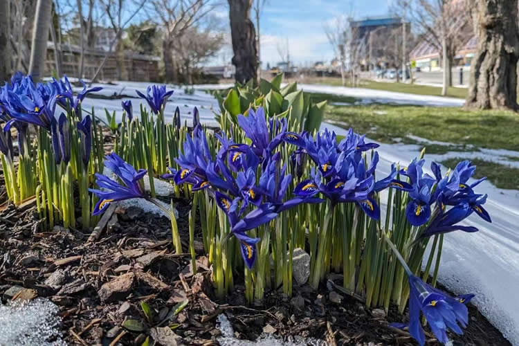 中國公民是在荷蘭結婚的現(xiàn)要離婚怎么辦理公證及海牙認證手續(xù)呢？