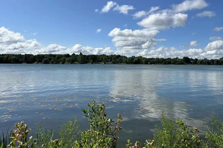 香港護(hù)照怎么辦理越南領(lǐng)館雙認(rèn)證？可以代辦嗎？