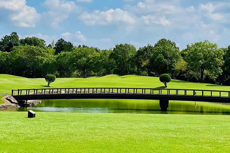內(nèi)地出生且父母已故的香港人要移民愛爾蘭怎么辦理出生公證附加證明書呢？