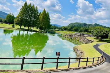 比利時出生紙怎么辦理香港海牙認證用于在澳門讀書呢？