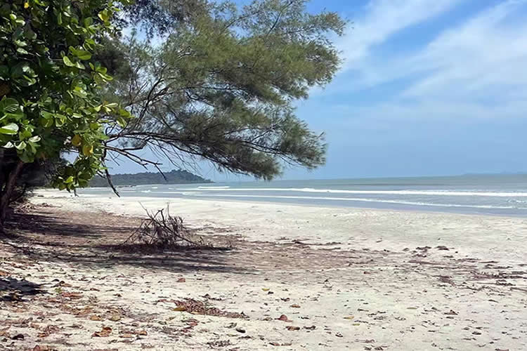香港夫婦要出售內(nèi)地的房產(chǎn)怎么辦理婚姻及家庭狀況聲明書公證呢？
