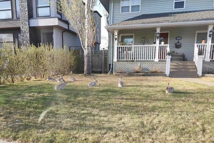 香港公司要在巴西投資設(shè)立公司怎么辦理授權(quán)委托書海牙認(rèn)證呢？