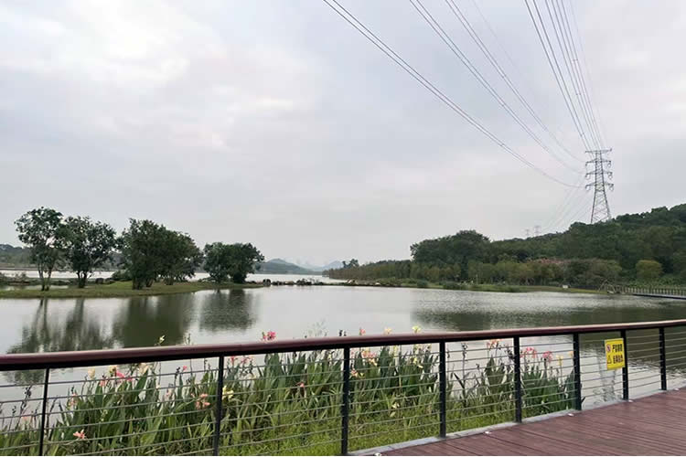 香港居民如何辦理放棄個人房產(chǎn)份額聲明書公證呢？