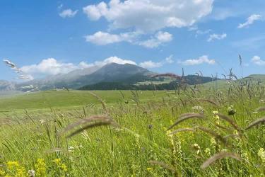 美國公民的香港死亡證明怎么辦理國際海牙認證手續(xù)呢？