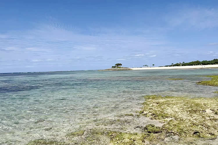 父母怎么辦理小孩的香港出生紙公證雙認證用于申請?zhí)﹪阕x簽證呢？