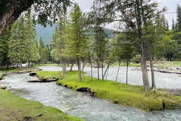 中國公民要在越南設(shè)立公司怎么在香港辦理中國護(hù)照越南公證雙認(rèn)證手續(xù)呢？