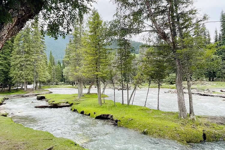 內(nèi)地人移民香港注銷內(nèi)地戶籍后什么情況下需要做同一人公證呢？