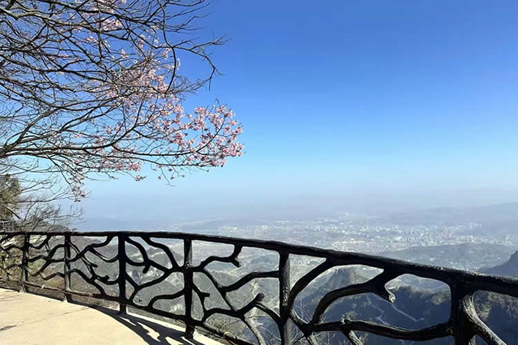 已有香港高院的遺囑認證書，怎么辦理香港親屬關系及遺囑狀況聲明書公證呢？