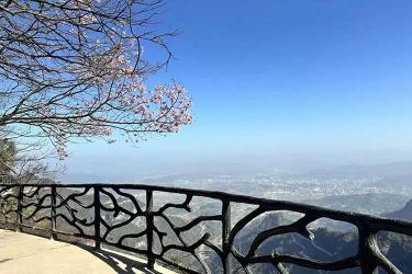 已有香港高院的遺囑認證書，怎么辦理香港親屬關系及遺囑狀況聲明書公證呢？