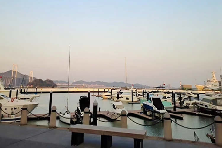 非香港公司董事決議聲明書公證用于召開股東會議出售股權(quán)