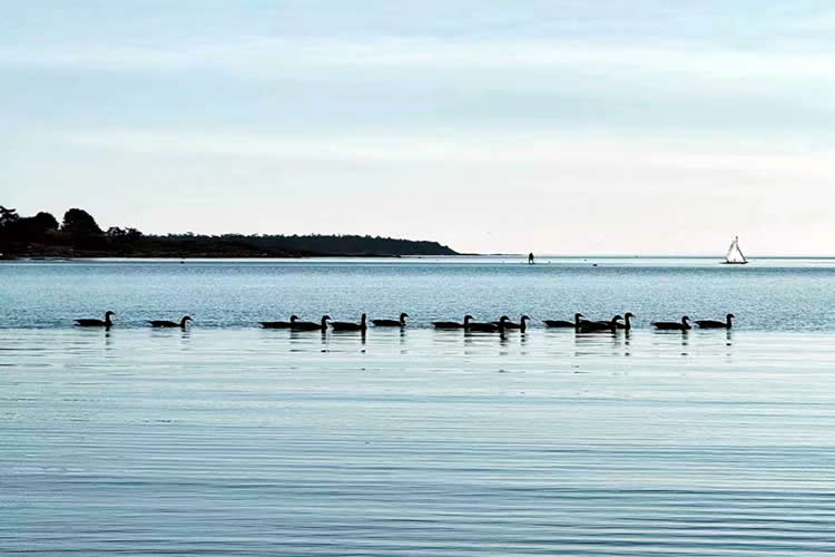 香港人的美國離婚證明文件怎么辦理美國海牙認(rèn)證Apostille手續(xù)呢？