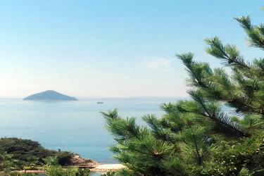 堂侄子要繼承香港姑媽去世后的內(nèi)地遺產(chǎn)怎么做親屬關(guān)系及遺囑狀況聲明書公證呢？