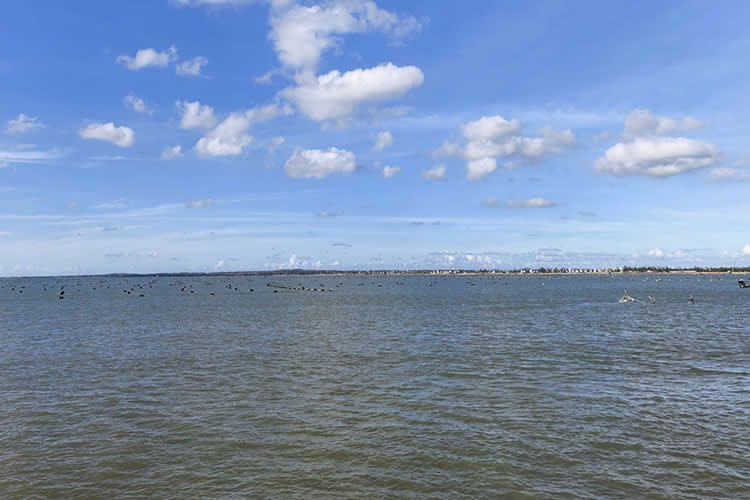 香港居民怎么無需回國遠程辦理移民美國所需的中國出生雙號公證書呢？