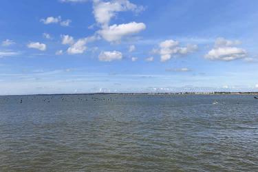 香港居民怎么無需回國遠程辦理移民美國所需的中國出生雙號公證書呢？