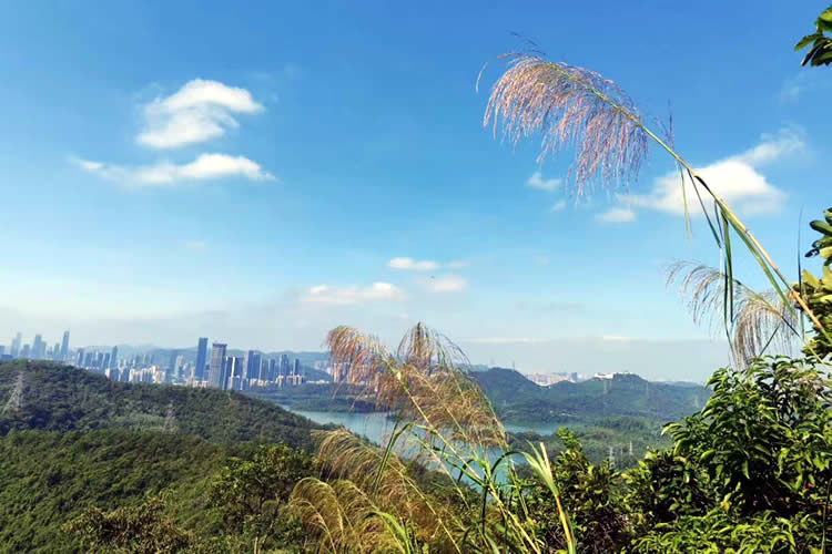 香港人怎么辦理中國內地出生公證海牙認證用于移民新加坡呢？