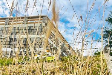  香港個人授權(quán)委托書公證用于委托配偶出售未成年子女的內(nèi)地房產(chǎn)