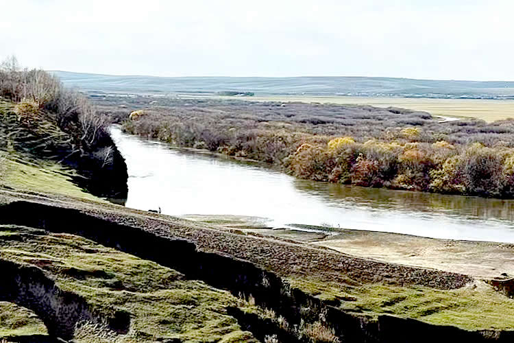 內(nèi)地出生的香港人怎么做出生公證用于申請圣基茨和尼維斯護(hù)照呢？